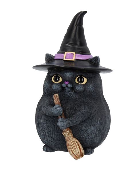 Tiny cat witch where to behold